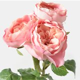 Sinsay Ukrasna umjetna biljka 3 pack | shoptok.hr