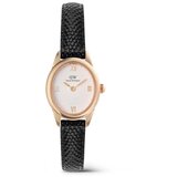 Daniel Wellington dw00100893 | Eponuda.com