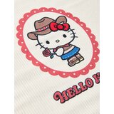 Sinsay Sklopiva kutija za pohranu s kaubojskim motivom Hello Kitty | shoptok.hr