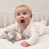 Sweet dreamers Bacek Ewan Snuggly ninica - Grey | Shoptok.si