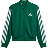Adidas Športne jope in jakne - Zelena | Shoptok.si