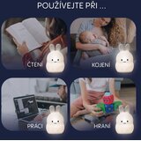 Zopa silikonska LED noćna lampica – veličina M Owl | shoptok.hr