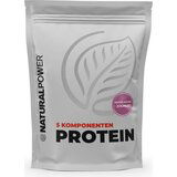 Natural Power 5-komponentni proteini 500g - Borovnica in jogurt Cene