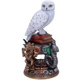 Nemesis Now HARRY POTTER FIGURICA HEDWIGA IN ŠČITNE HIŠE, (20748642) | Shoptok.si