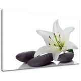  Slike na platnu feng shui (moderne slike na platnu) Cene