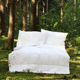 ecoTree Odeja Green Concept | Shoptok.si