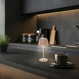 BRILONER 7552-011 - LED prigušiva, punjiva spoljna stona lampa MINI LED/1,5W/5V IP44 | Eponuda.com
