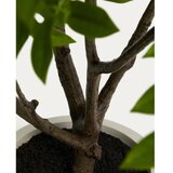 Kave Home Umjetna biljka (visina 185 cm) Rhus – | shoptok.hr