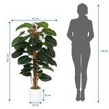 MID.YOU Umetna Rastlina Epipremnum | Shoptok.si