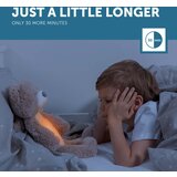 Zazu plišasta glasbena nočna lučka sleeptrainer brody the bear taupe | Shoptok.si
