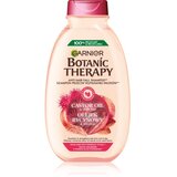 Garnier Botanic Therapy Ricinus Oil krepilni šampon za oslabljene lase, ki so nagnjeni k izpadanju 400 ml Cene