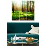 Wallity Set slika MDF60822307, 3 dijela | Eponuda.ba