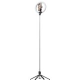 BLAVEC Selfie Ring Aura LED Ring 25cm + stativ + daljinski upravljač - 230 cm (RLP55-TRB23) crni | shoptok.hr