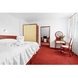  Prag, 2 ili 3 noćenja za dvoje uz doručak ili polupansion u hotelu Marie Luisa *** Slike
