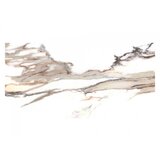 Calacatta Gold Rettificato 30x60