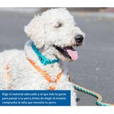  Pas za psa Trixie New Premium Rdeča | Shoptok.si