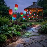  LED RGB solarna dekorativna svetiljka 3xLED/3,7V 200 mAh IP44 tulipán | Eponuda.com