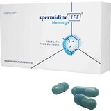 Longevity Labs spermidineLIFE® memory+ | Shoptok.si