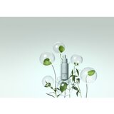 Aveda Scalp Solutions Overnight Scalp Renewal Serum noćni serum za zdravo vlasište 50 ml | shoptok.hr