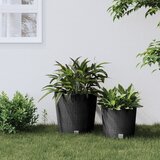 vidaXL Sadilica s uklonjivom unutrašnjosti antracit 35/37,5 L PP ratan | shoptok.hr