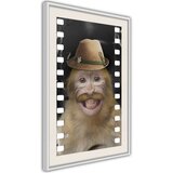  Poster - Dressed Up Monkey 30x45 | shoptok.hr
