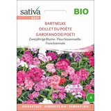 Sativa Bio dvoletni cvet "Turški nagelj" Cene
