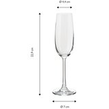 Echtwerk Set Kozarcev Wine, 6-Delni | Shoptok.si