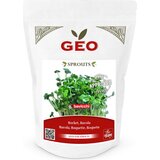 Bavicchi Bio kalčki "rukola" - 300 g Cene