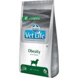 Vet Life Obesity - 12 kg