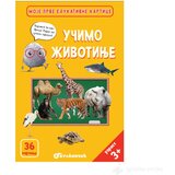 VULKAN I VULAKNČIĆ Knjige Zrnce kartice - UČIMO ŽIVOTINJE | Eponuda.com