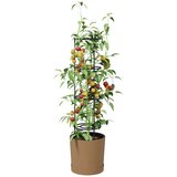  Uzgajivač rajčica Naturo ECO Ø 39 x 139 cm WPC | shoptok.hr