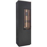 Dieter Knoll VITRINA, hrast antracit | Shoptok.si