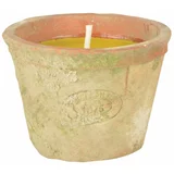 Esschert Design Dišeča sveča z vonjem citrosov, čas gorenja 10 ur