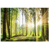  Samoljepljiva foto tapeta - Forest Tales 98x70 | shoptok.hr
