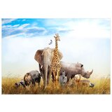  Tapeta - Fauna of Africa 200x140 | shoptok.hr