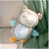 Kids II ingenuity plisana igracka - nally the owl 12477 0M+ Cene