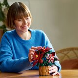 Lego LEGO® Botanical Collection 10370 Božična zvezda | Shoptok.si
