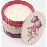 Sinsay Svijeća Autumn Harvest | shoptok.hr