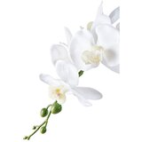 House Nordic Umetna rastlina (višina 47 cm) Orchid – | Shoptok.si