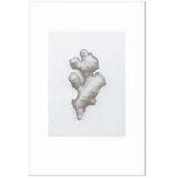  Slika - Ginger (1 Part) Vertical 80x120 | shoptok.hr