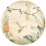  Okrugla fototapeta - Parrots in the jungle 230x230 | shoptok.hr