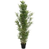 MID.YOU Umetna Rastlina Bambus | Shoptok.si