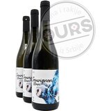 Vinum akcija 2+1 | ePonuda.com