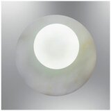 Opviq zidna lampa Mova 2315-1, 1 × G9, zlatna | Eponuda.com