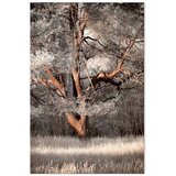 Slika - My Story (1 Part) Vertical 20x30 Premium Print | shoptok.hr