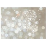  Tapeta - The Ballad of Beauty 200x140 | shoptok.hr
