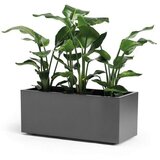 Crafter Kebe žardinjera sa točkićima 100 cm, antracit | ePonuda.com