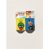LC Waikiki Pack of 5 Looney Tunes Patterned Boys Booties Socks Cene