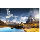  Tapeta - Bird cloud 450x270 | shoptok.hr