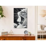  Slika za samostalno slikanje - Yawning Kitten 40x60 | shoptok.hr